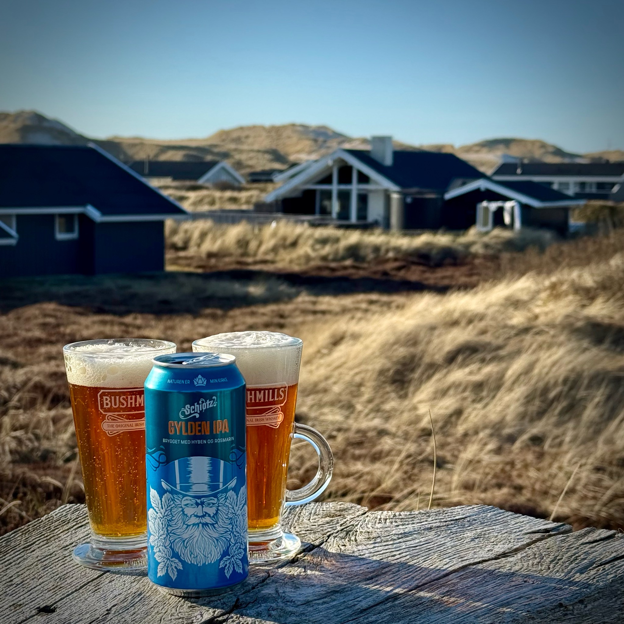 Schiøtz Gylden IPA, Albani Bryggerierne (Royal Unibrew)