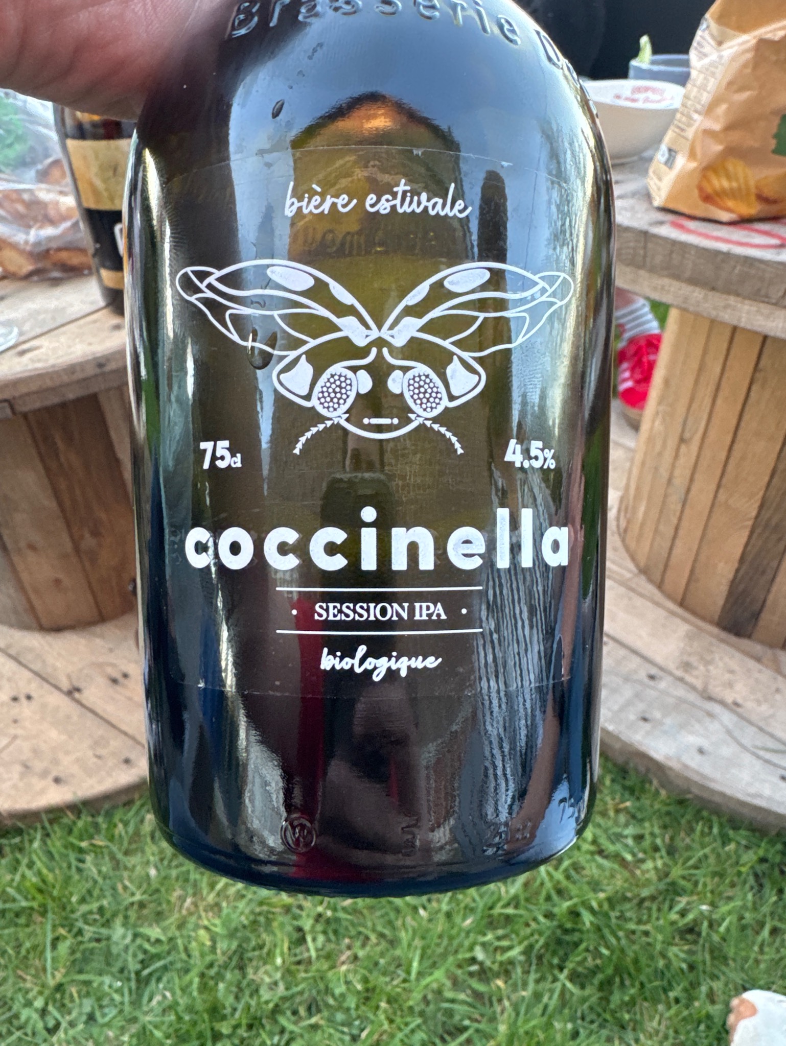 Coccinella, France