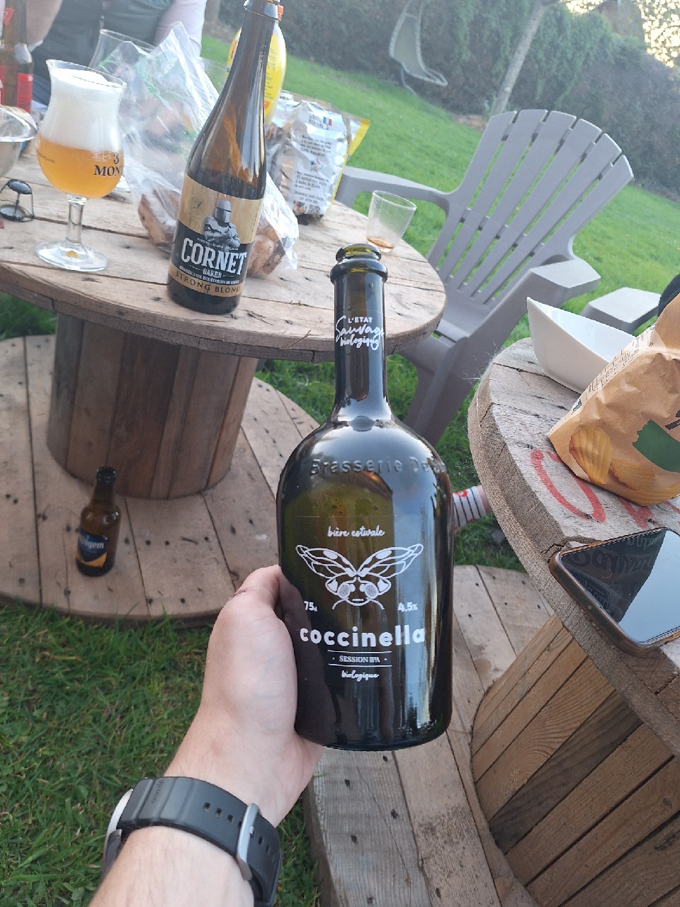 Coccinella, France