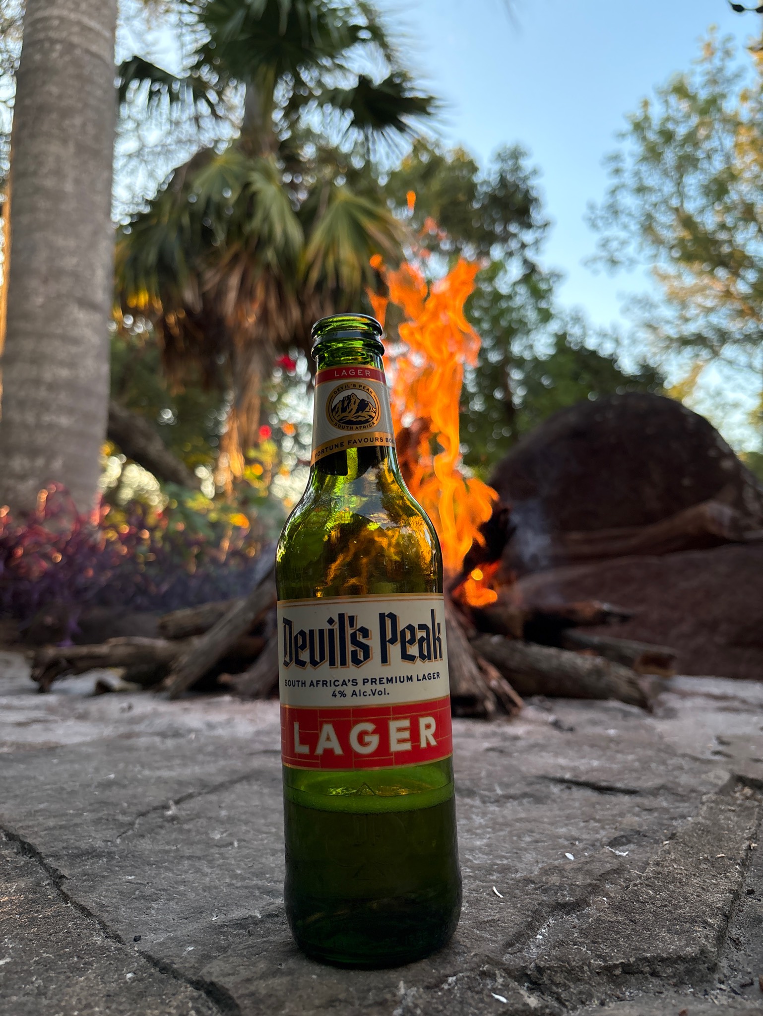 Devil's Peak Lager, Devil's Peak Brewing Company