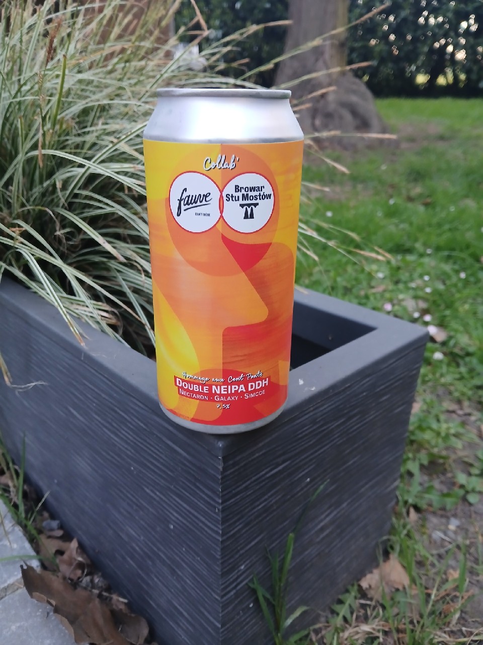 hommage aux cent ponts, France