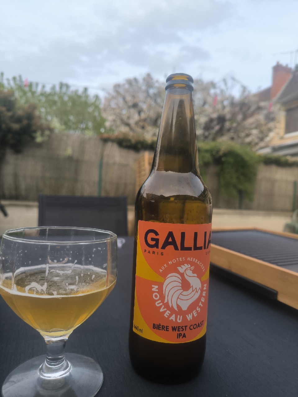 Nouveau Western, France