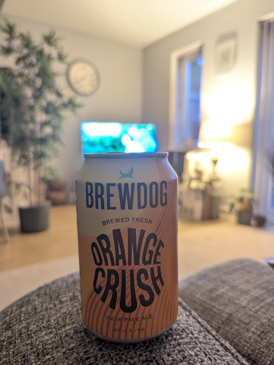 Orange crush, Scotland