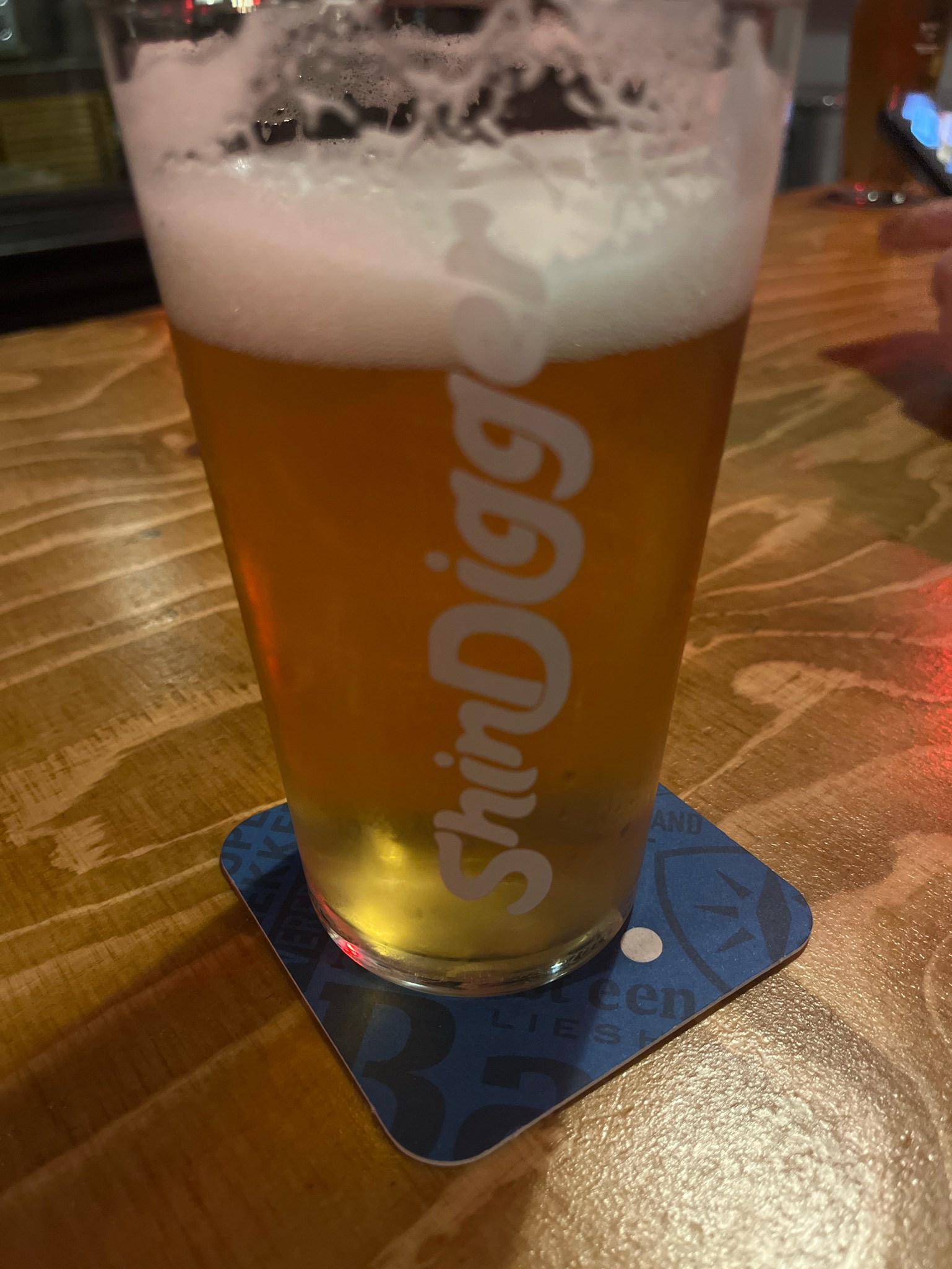 ShinDigger Session, ShinDigger