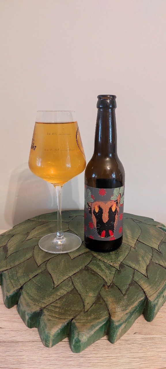 Red Hot Chili Spounder V2, Nano Brasserie SPO