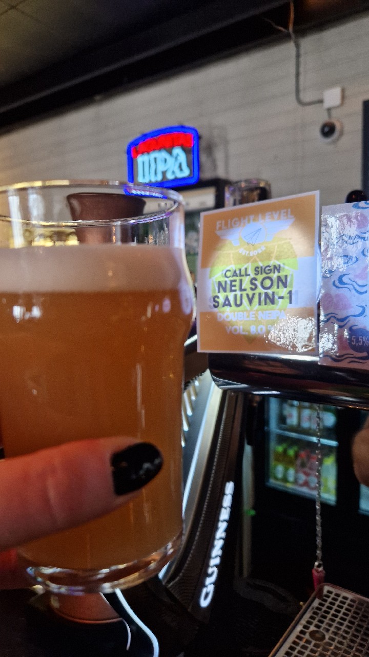 Call Sign Nelson Sauvin-1, Finland