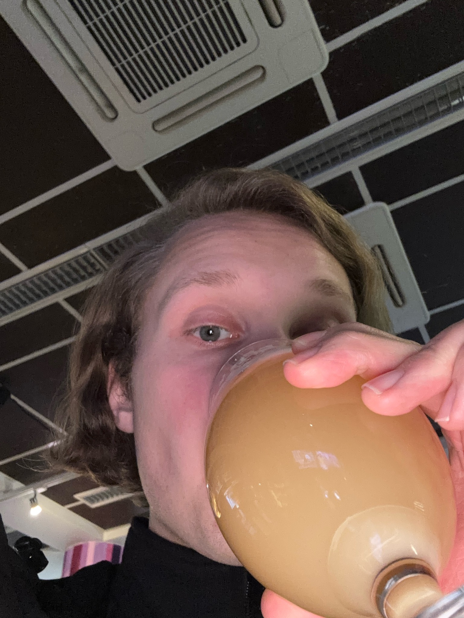 Single Hop IPA (Citra), Sweden