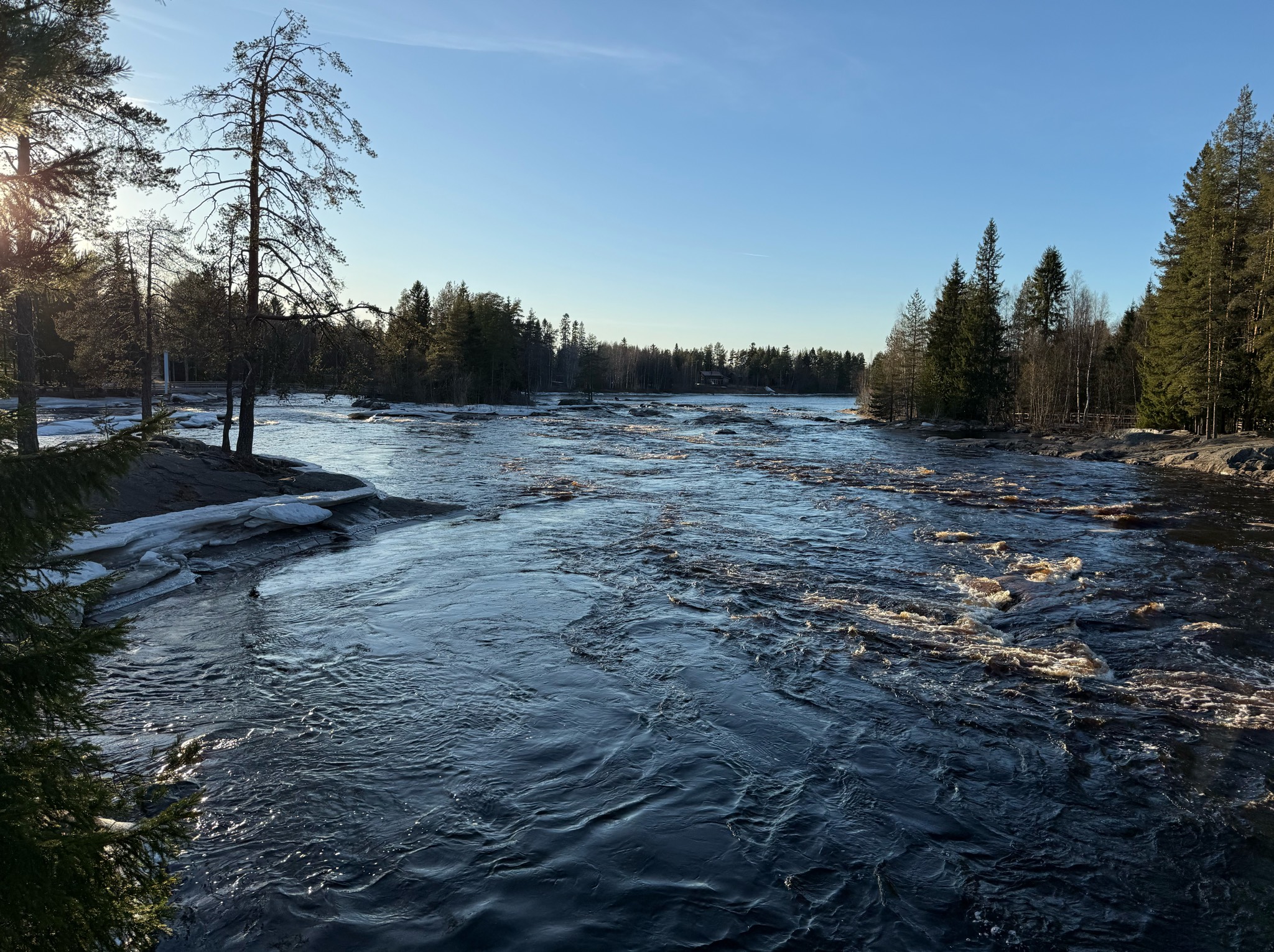 Sysi, Finland