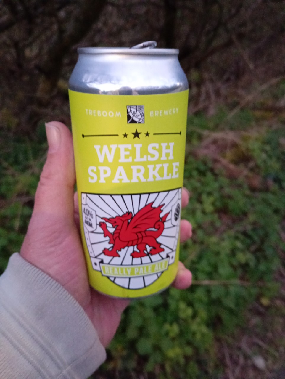 Welsh Sparkle, Treboom Brewery