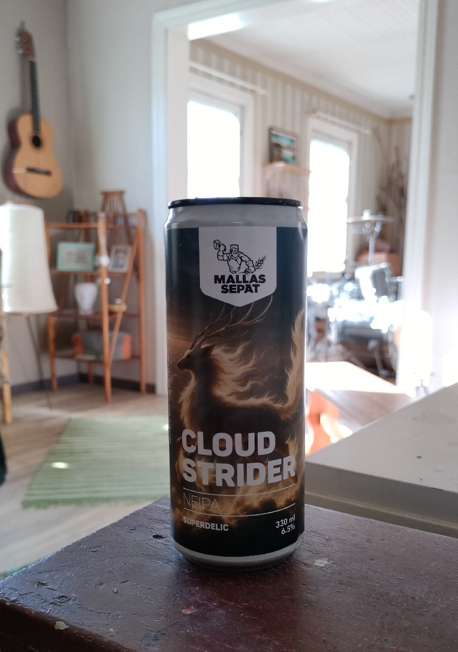 Cloud Strider, Finland