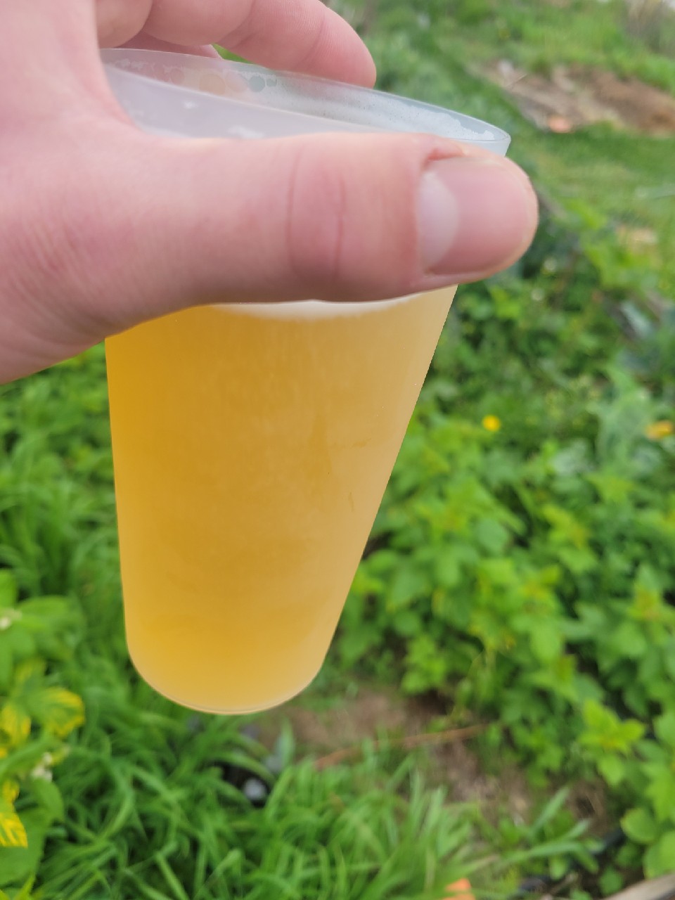 Pale Ale, France