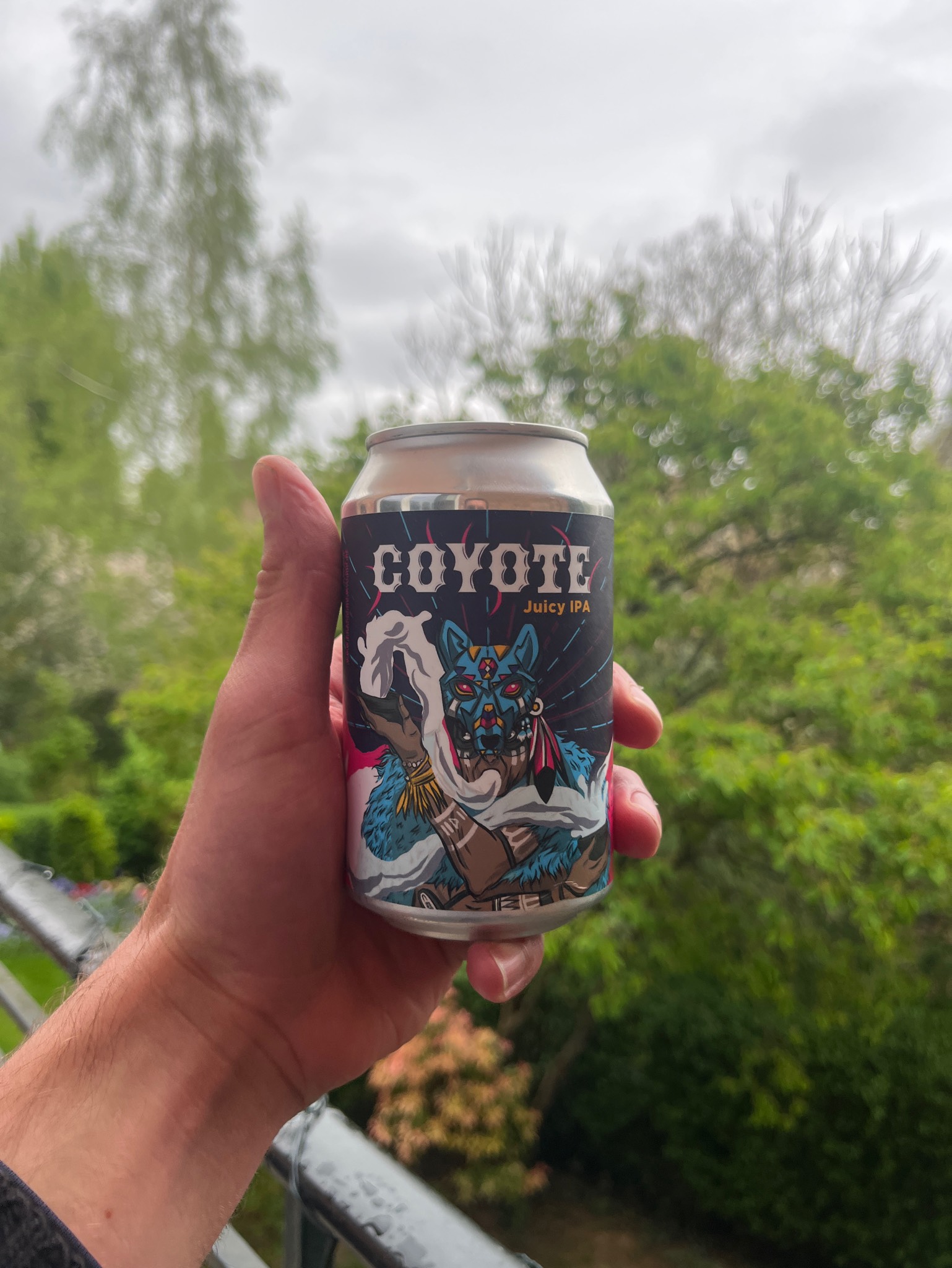 Coyote, Belgium