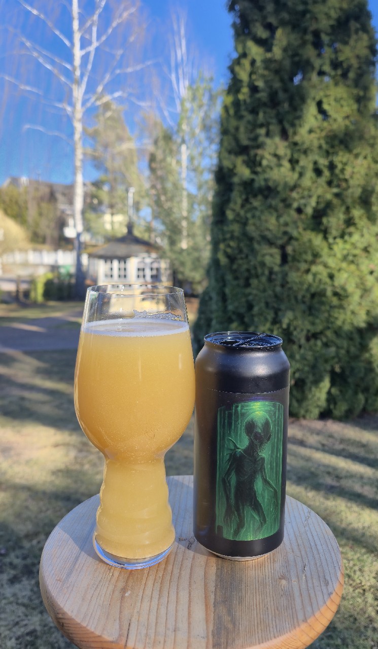 Hangar 18, Little Rain Brewing Company