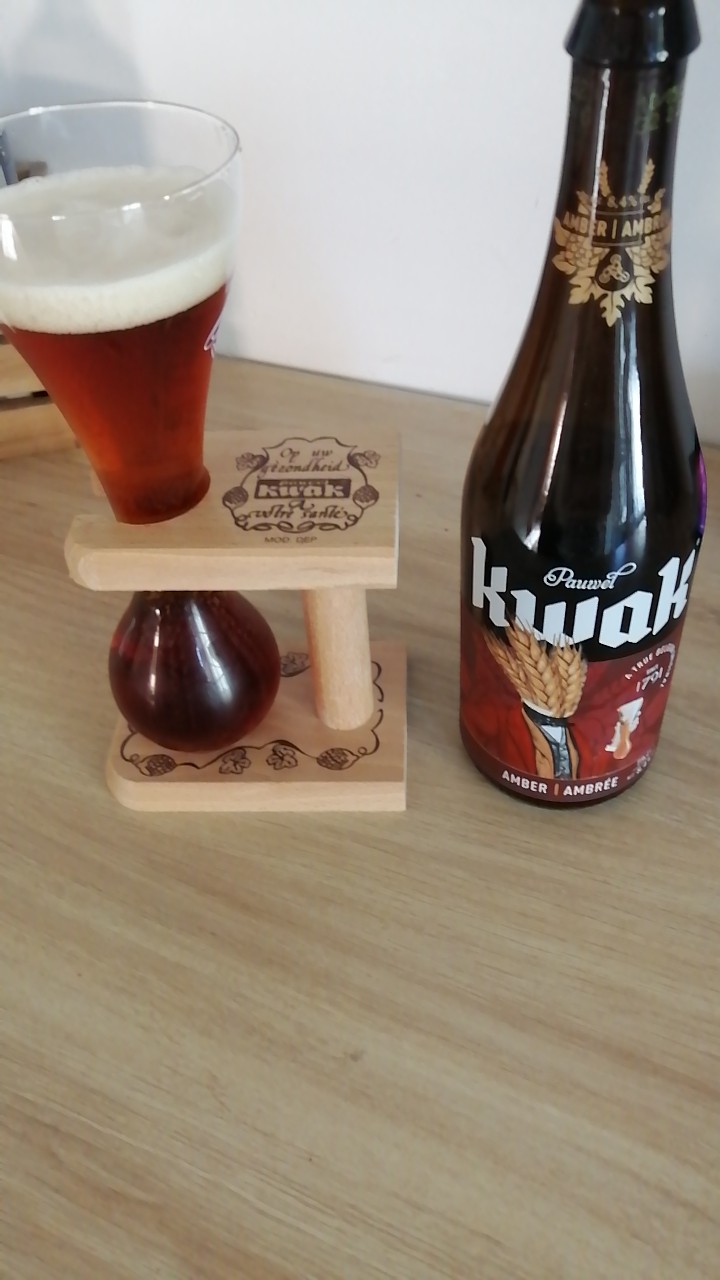 Pauwel Kwak, Belgium