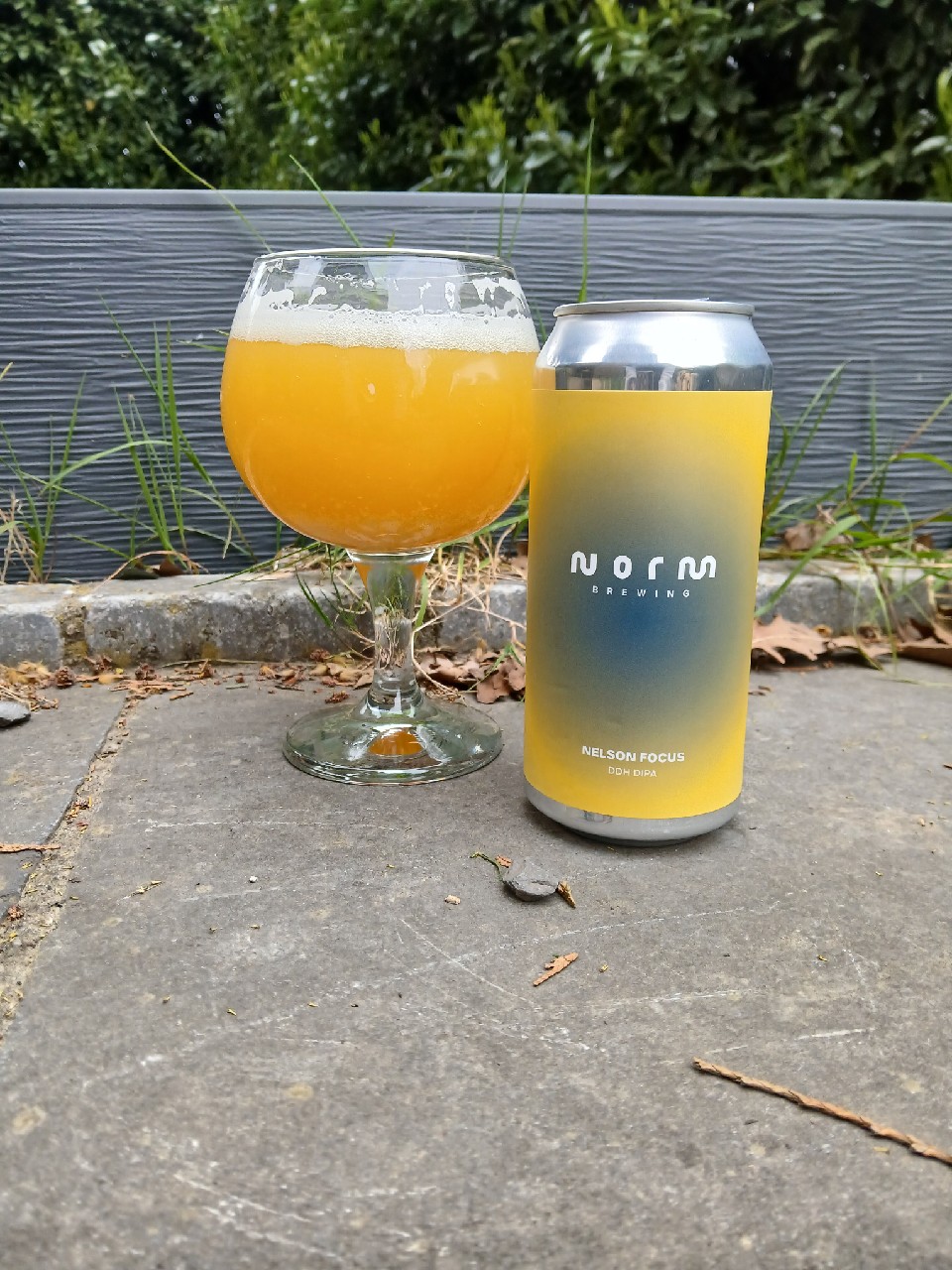 Nelson Focus, Norm Brewing