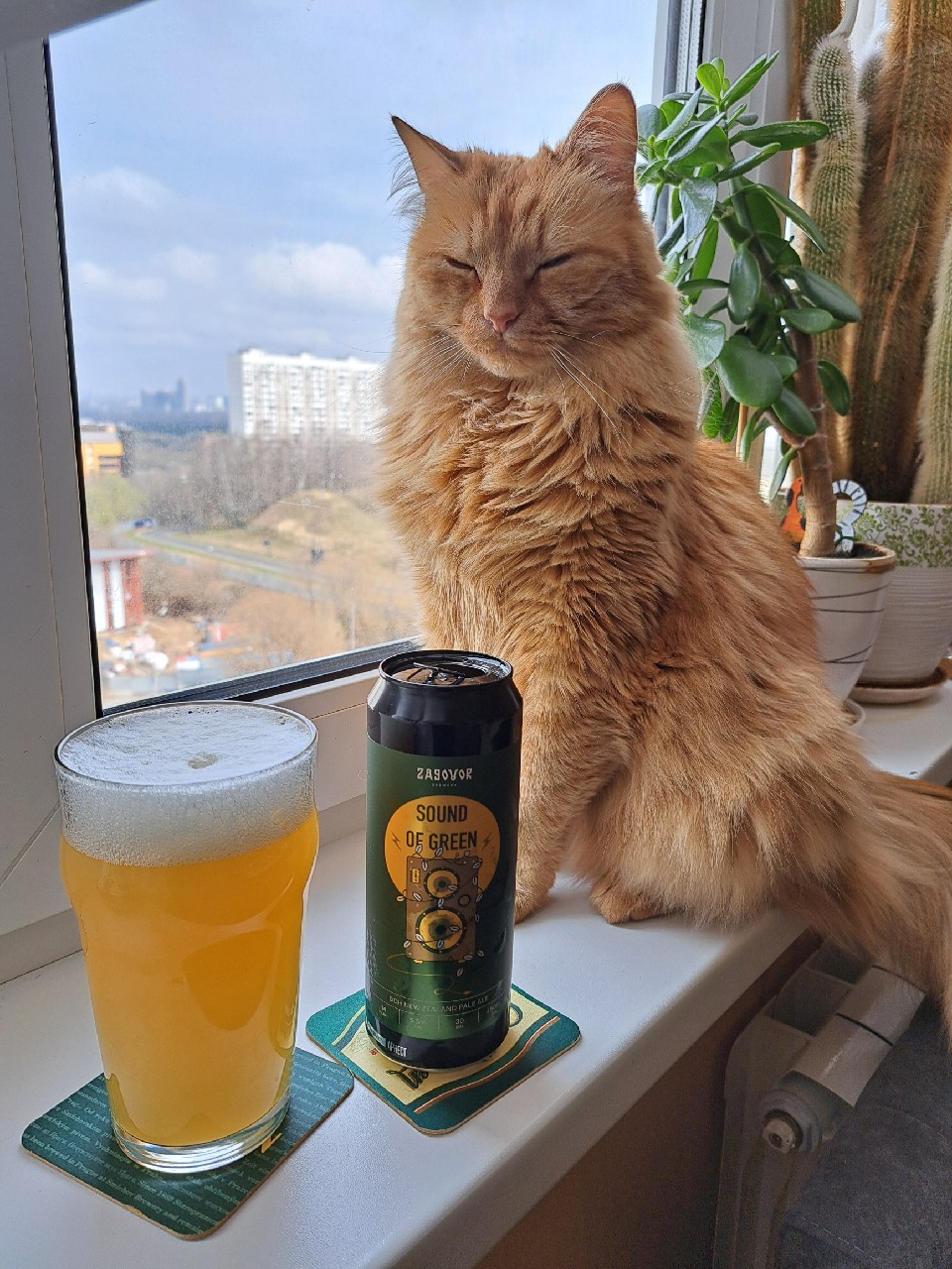 Sound Of Green, Zagovor Brewery