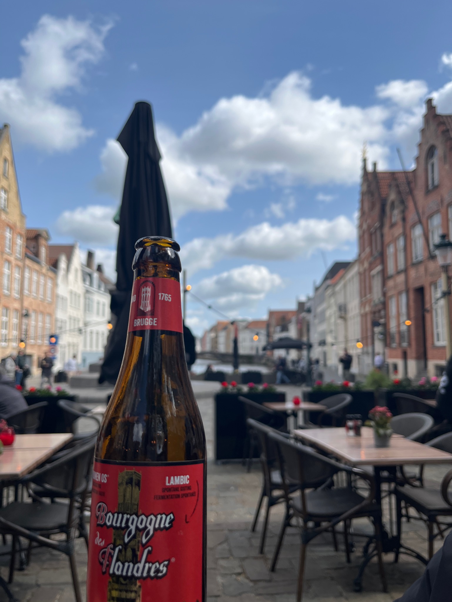 Bourgogne des Flandres Brune / Bruin, Belgium