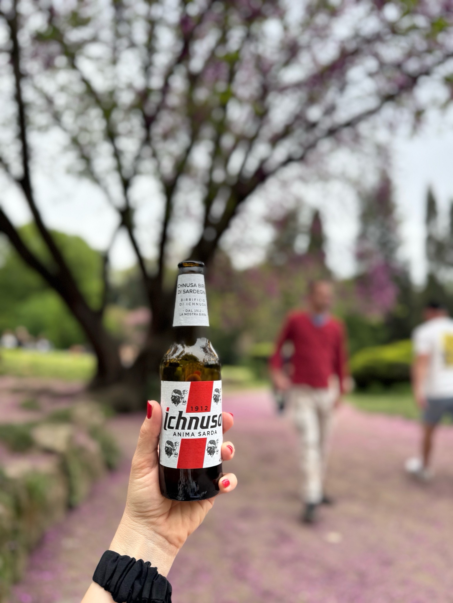 Ichnusa Anima Sarda, Ichnusa (Heineken Italia)