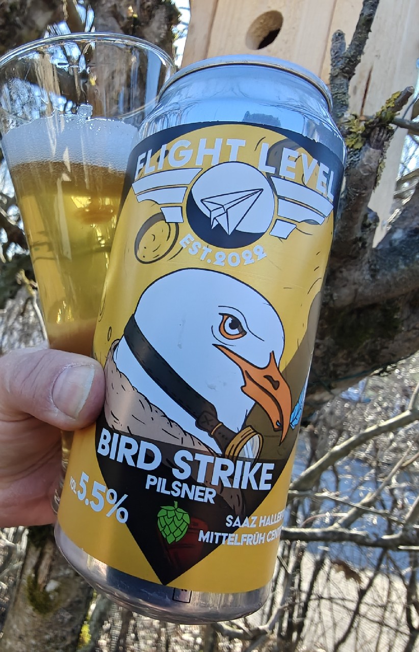 Bird Strike, Flight Level Brewing