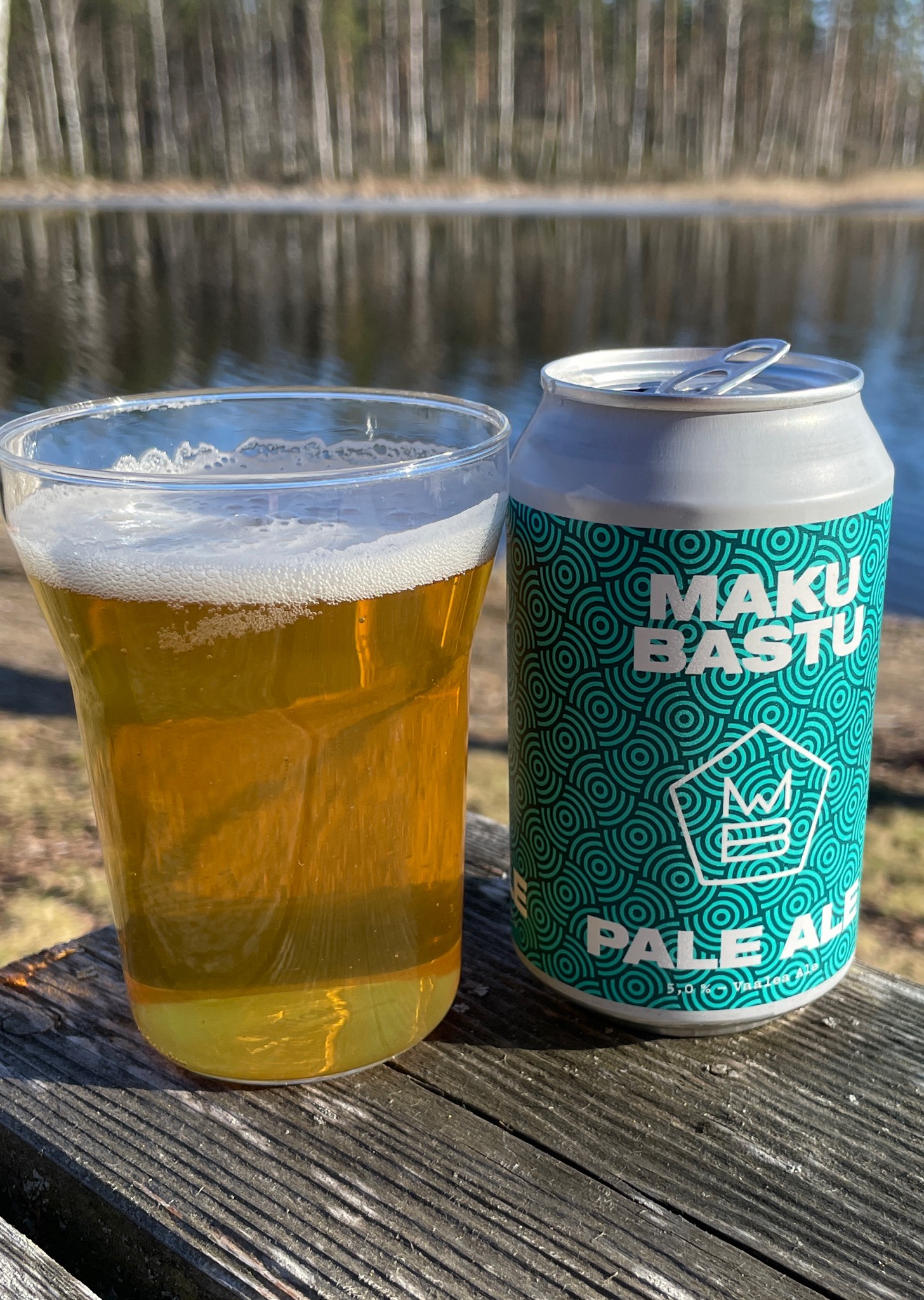 Bastu, Finland