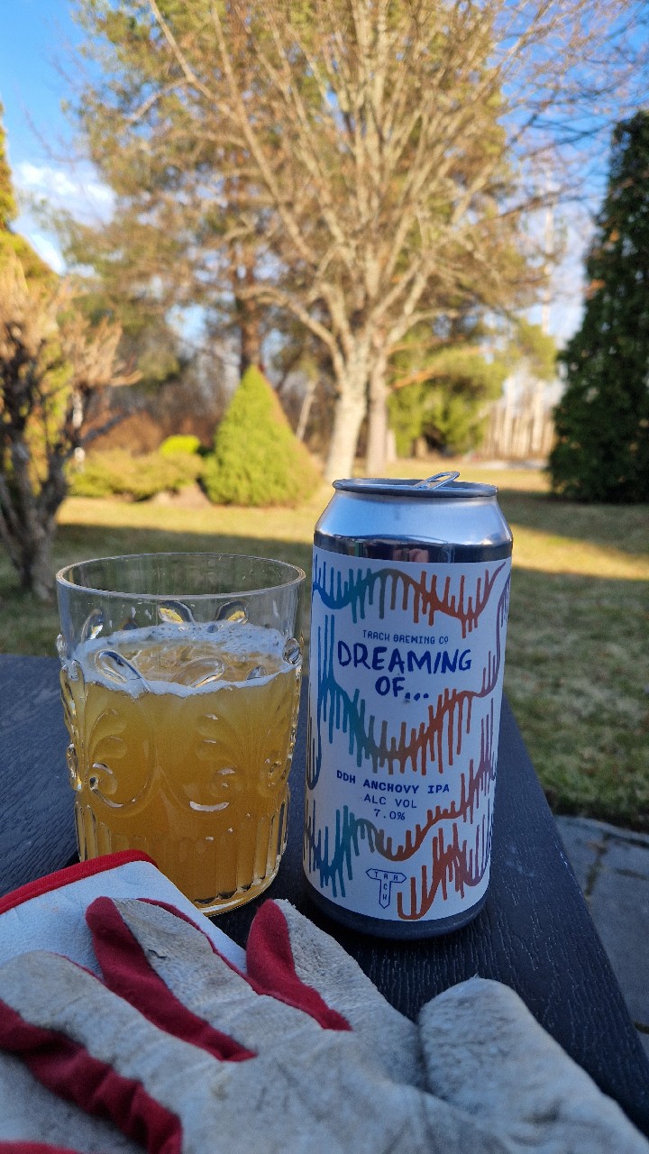 Dreaming Of... DDH Anchovy IPA, Track Brewing Co.