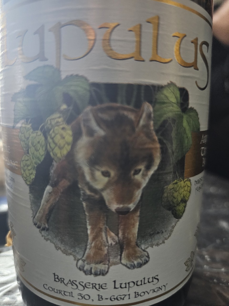 Lupulus Blonde / Triple, Belgium