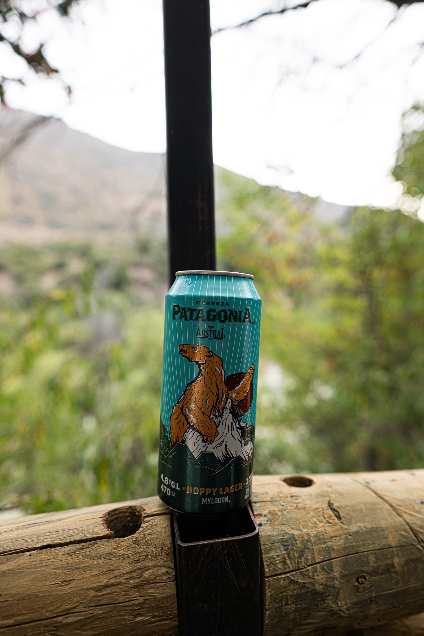 Patagonia Hoppy Lager Austral, Chile