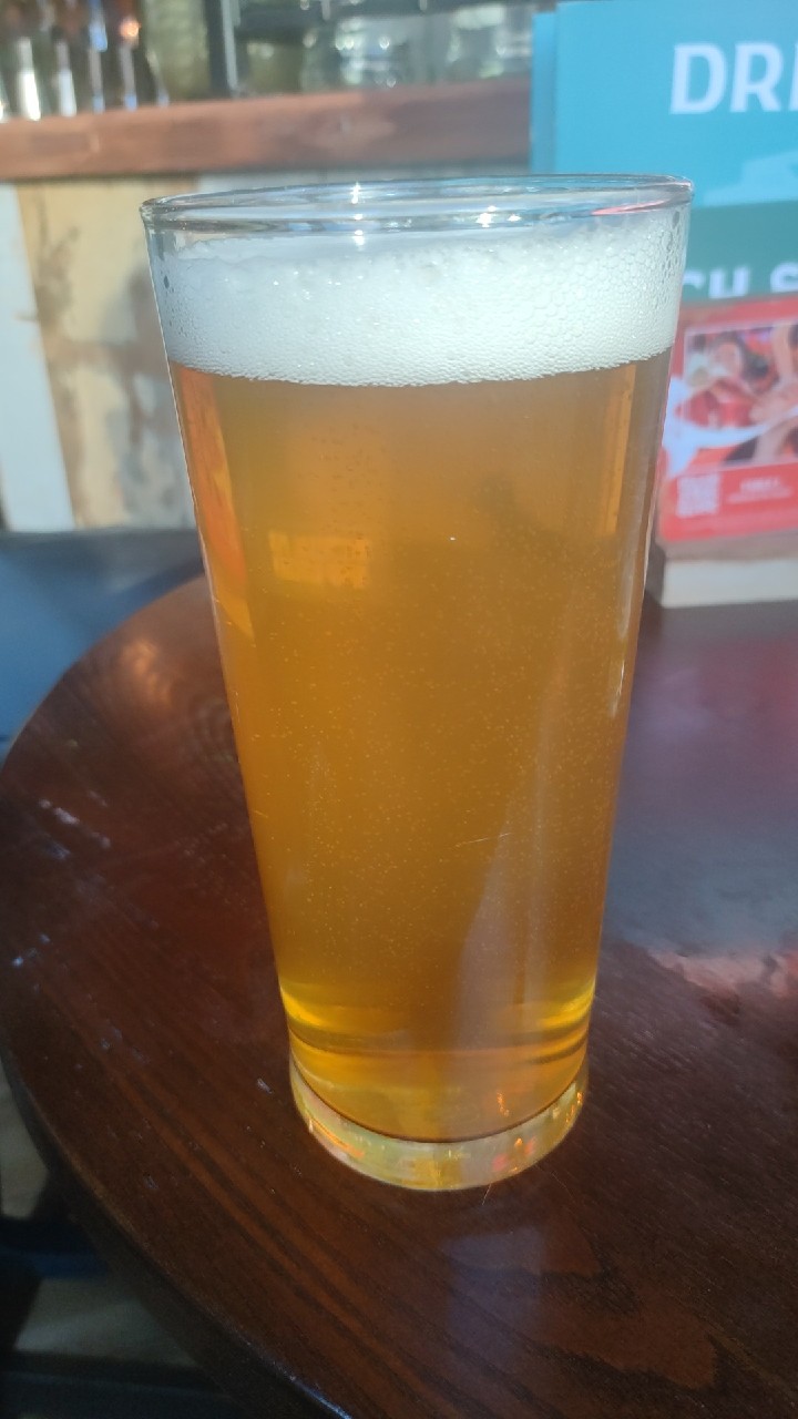 Loose Cannon, Brew Toon