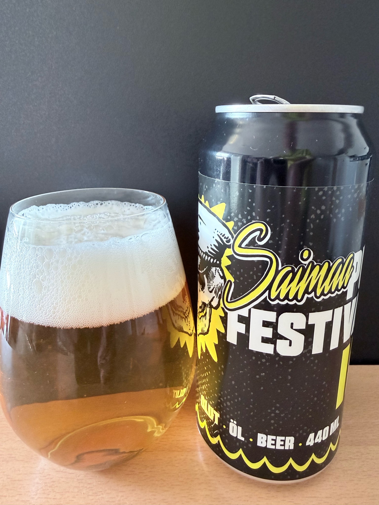 Saimaa Punk Festivaali 2025, Finland