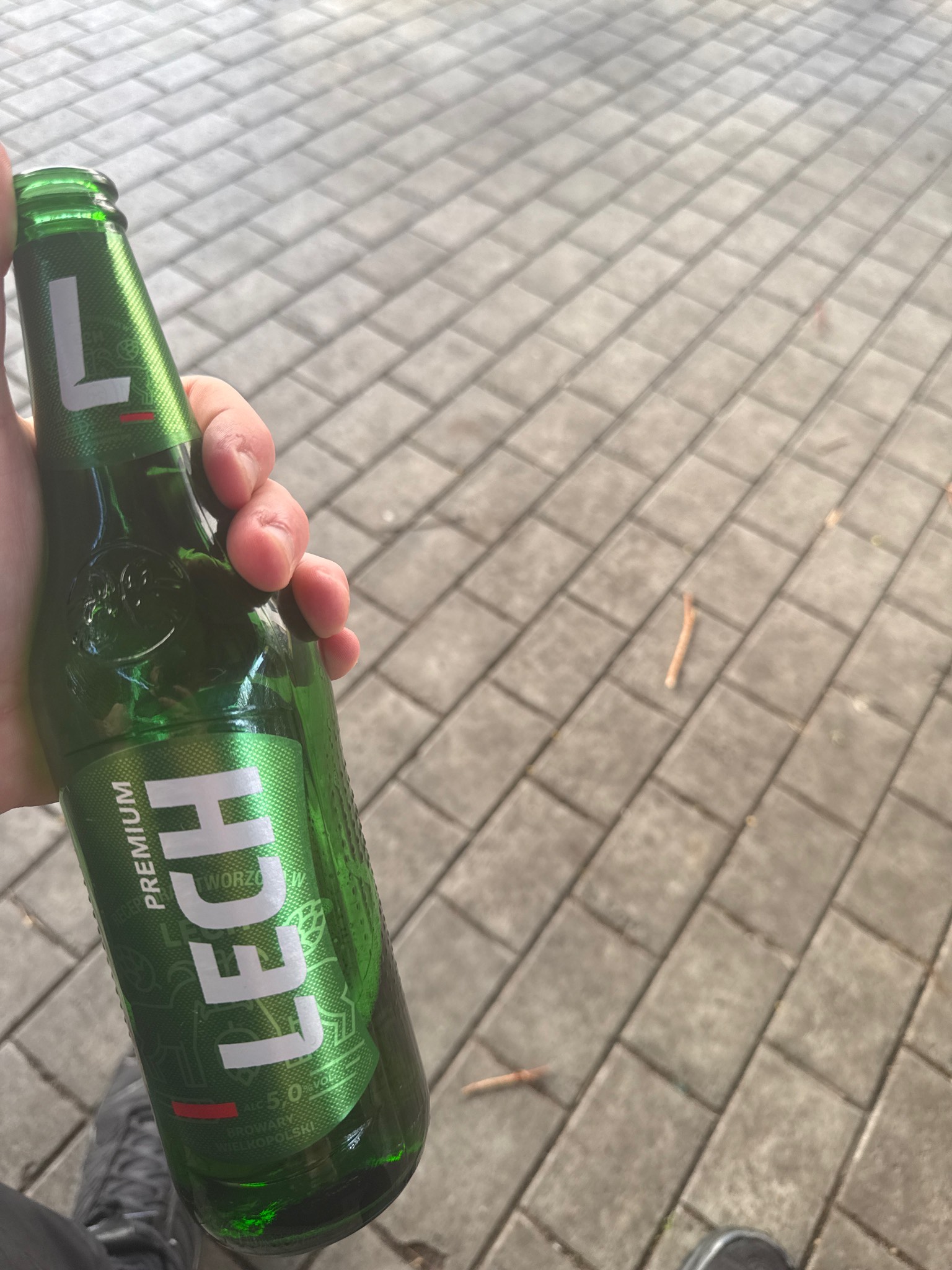 Lech Premium, Poland