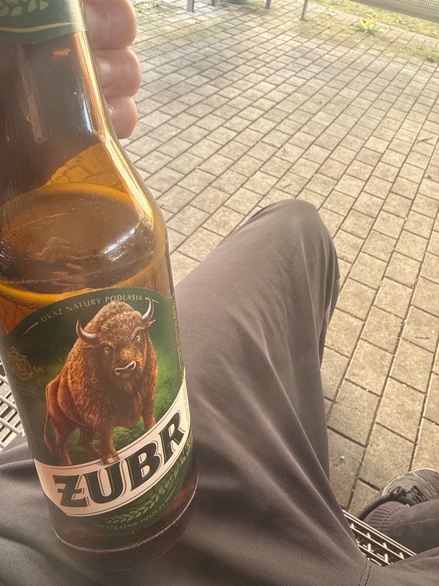 Zubr / Żubr, Poland