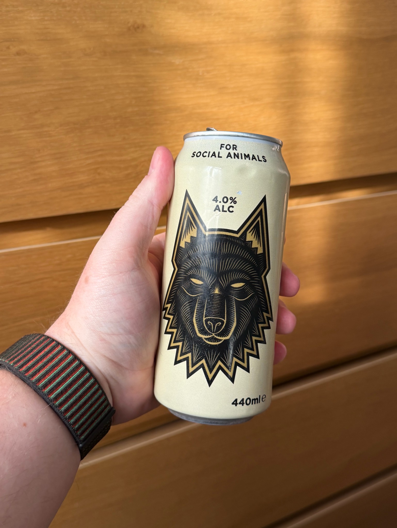 Arctic Pilsner, England