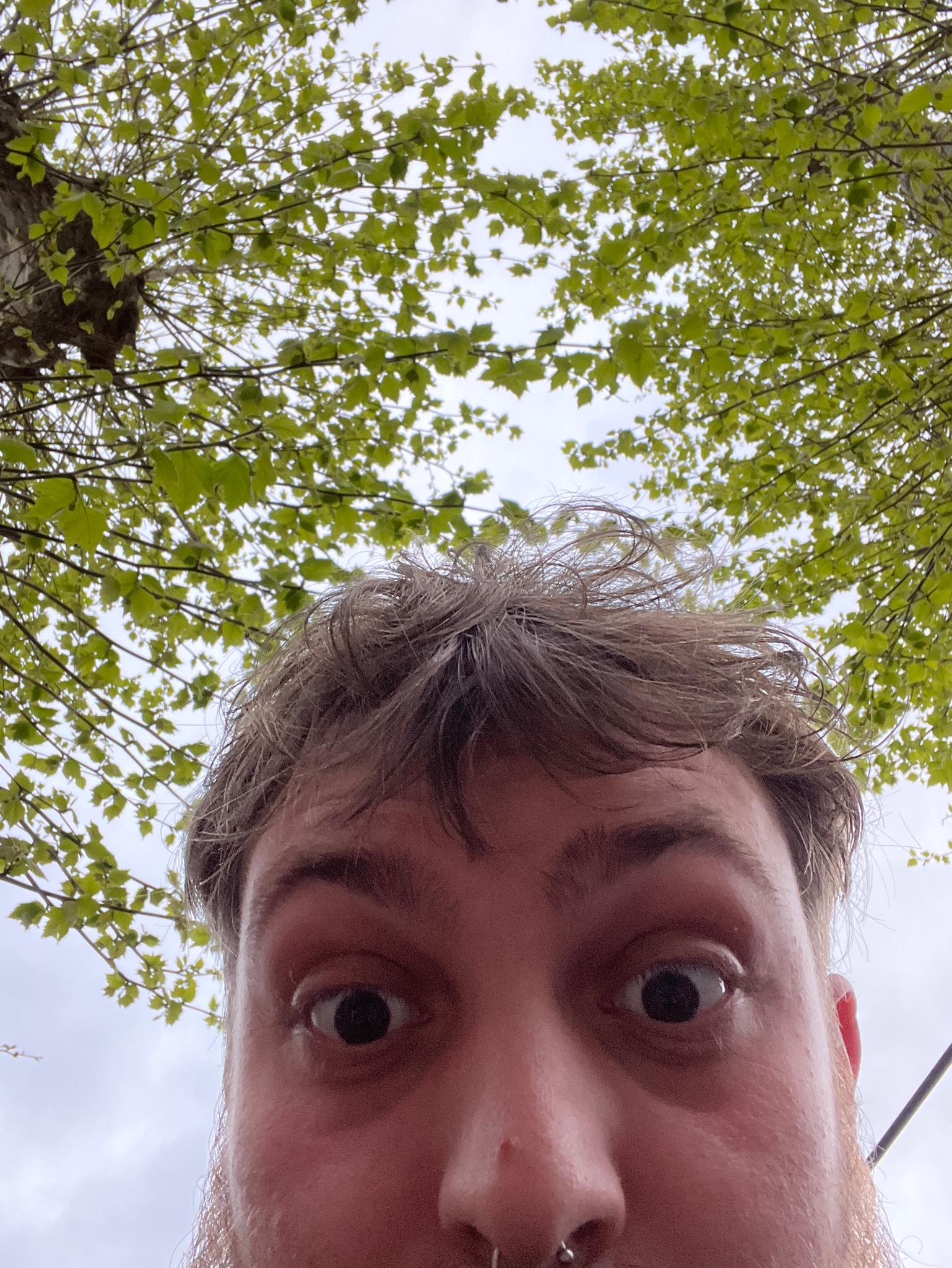 Haze Avenger, Hoppy Road