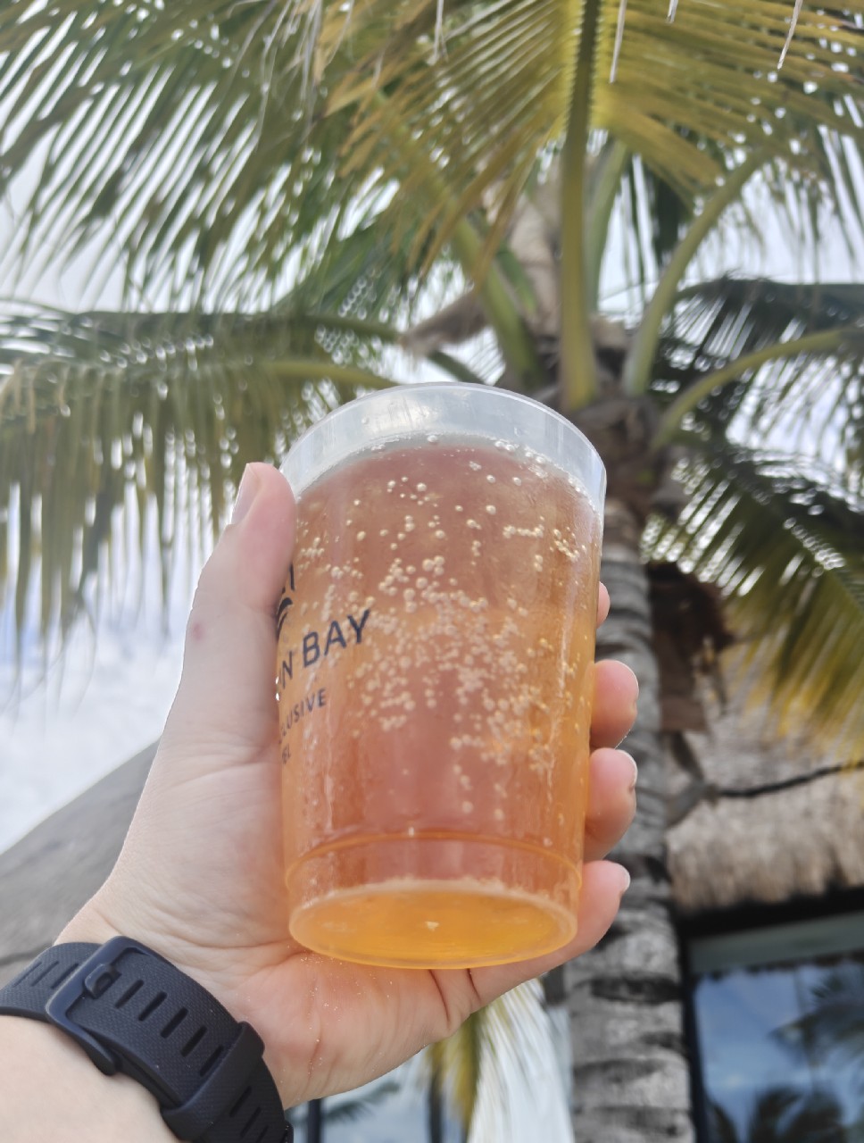 Modelo Ámbar, Mexico