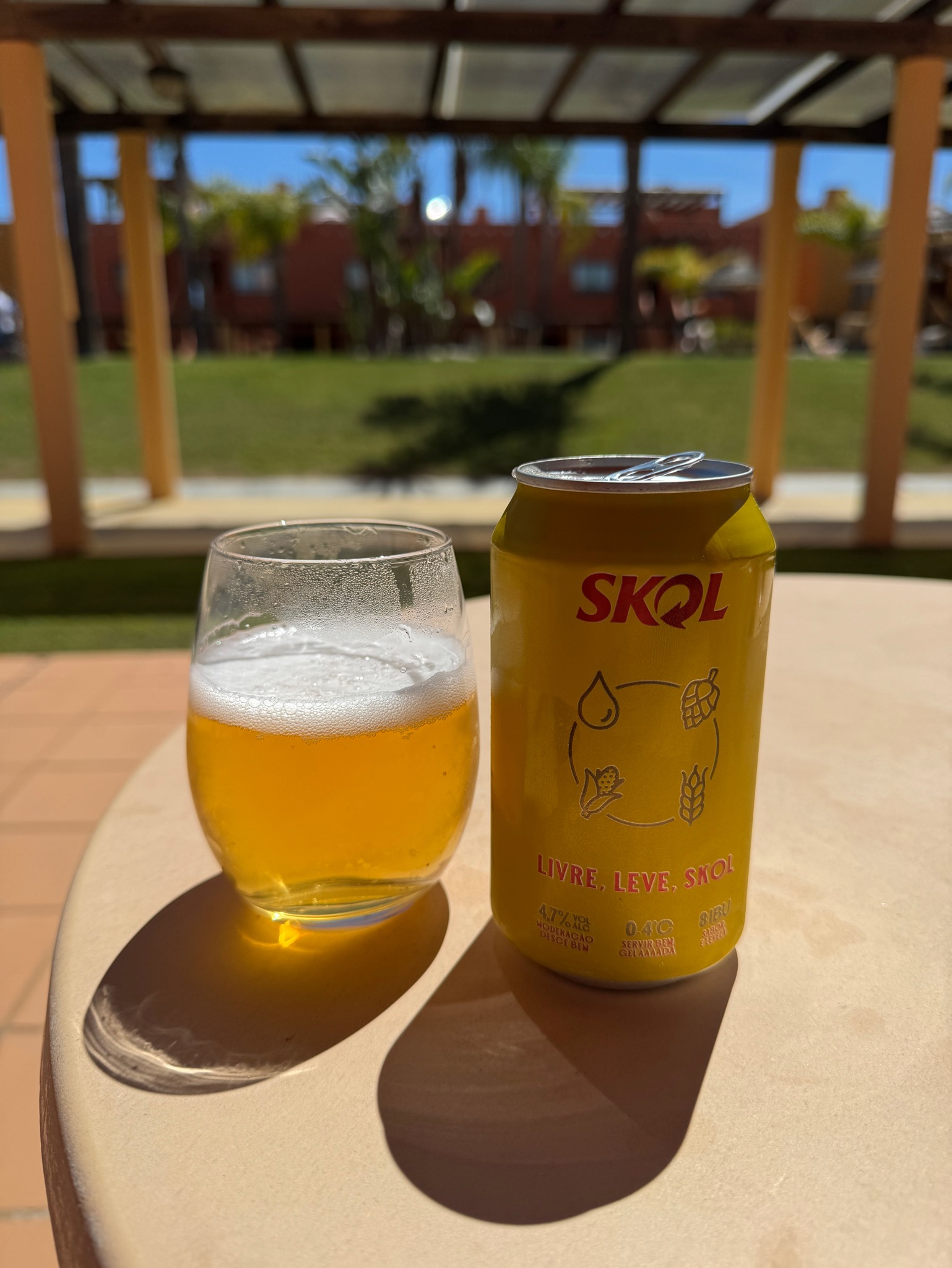 Skol, Ambev (AB InBev)