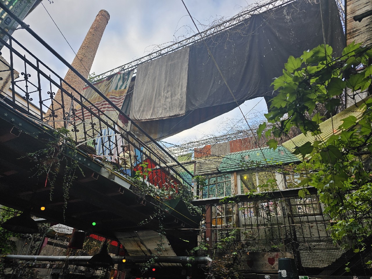 Pécsi Sör Prémium Pils Szűretlen, Pécsi Sörfözde (Ottakringer)