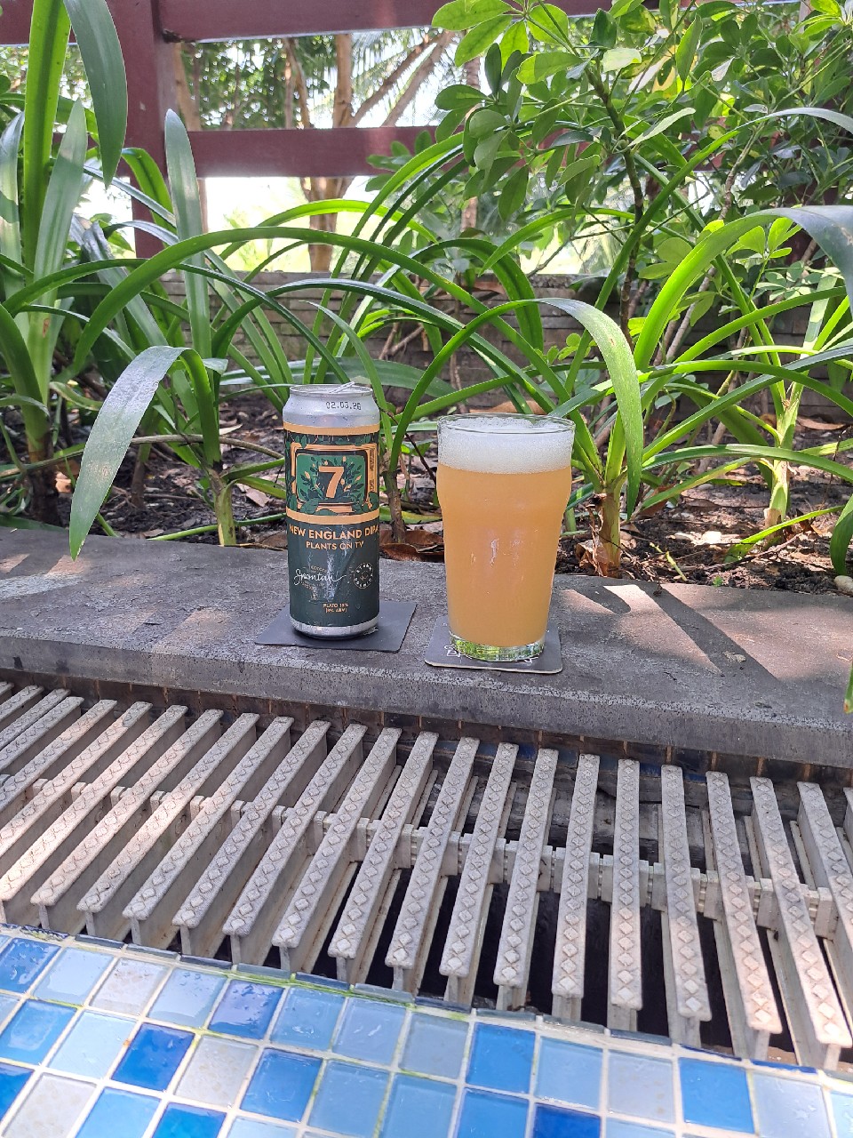 Plants on TV, Stamm Brewing