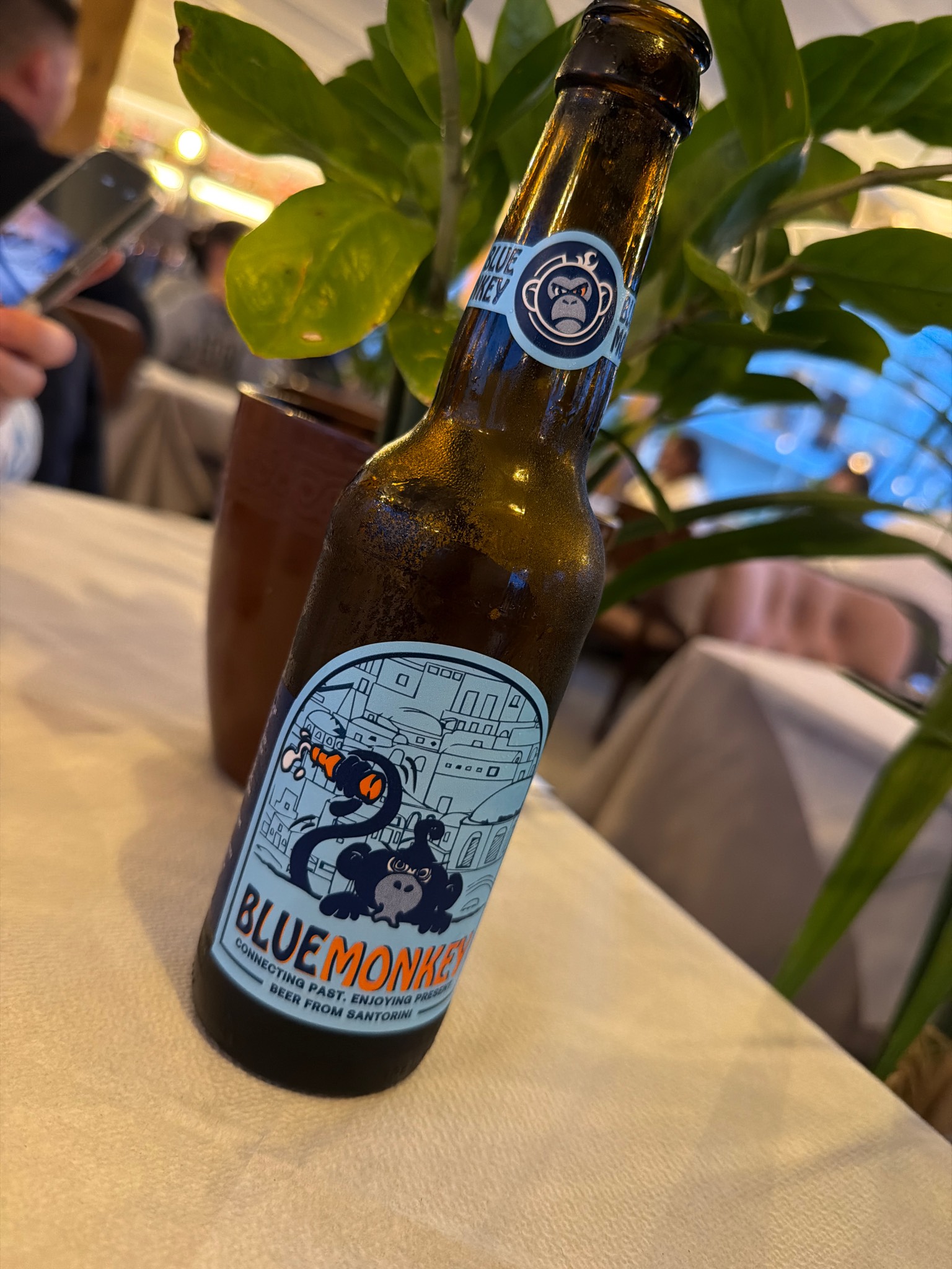 Blue Monkey Lager, Ftelos Brewery
