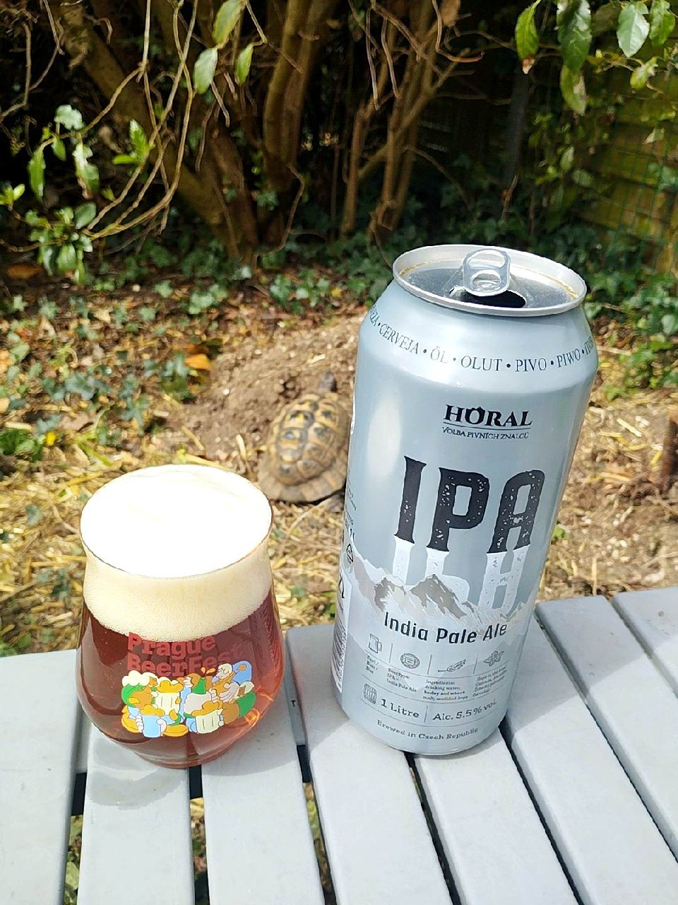 Horal India Pale Ale, Albion Plus