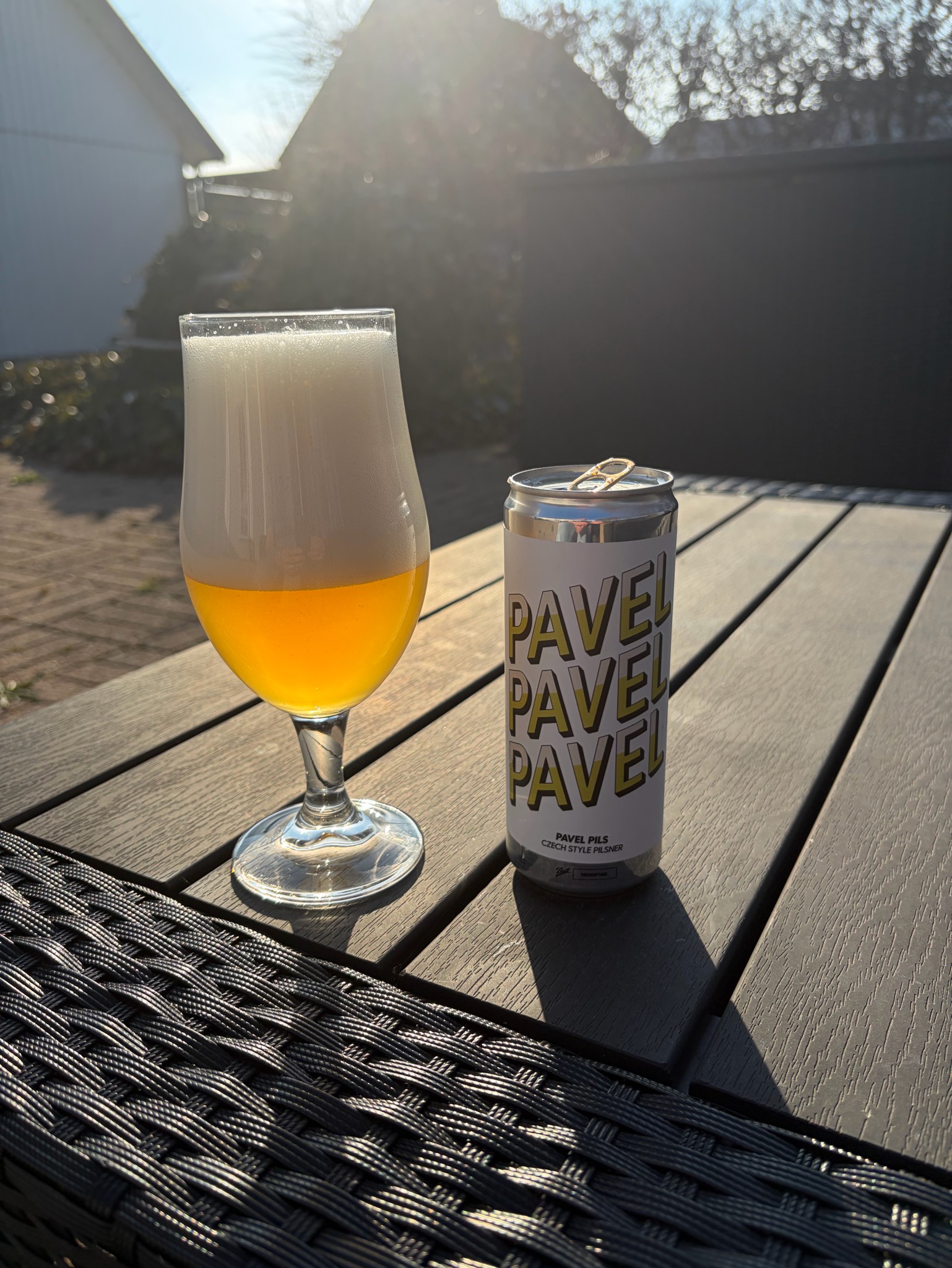 Pavel Pils, Sweden