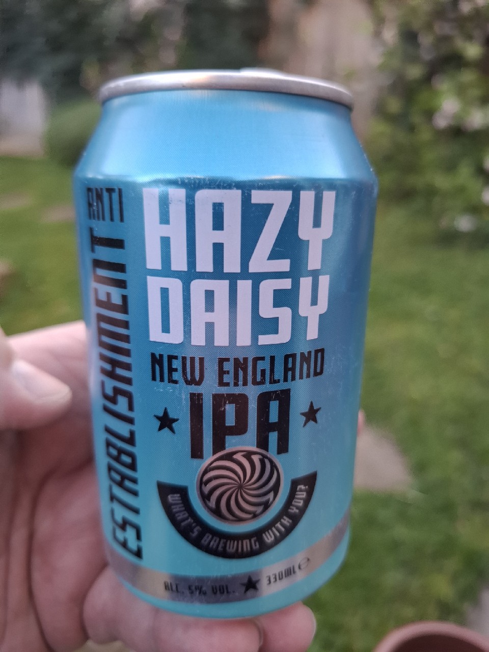 Hazy Daisy, ALDI Stores UK