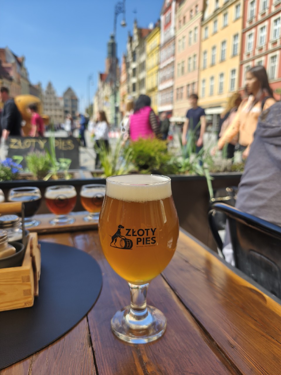 Sznaucer, Zloty pies