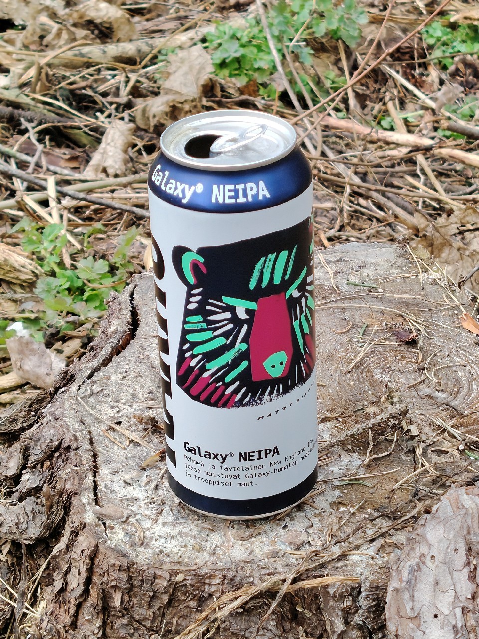 Karhu Galaxy NEIPA, Finland