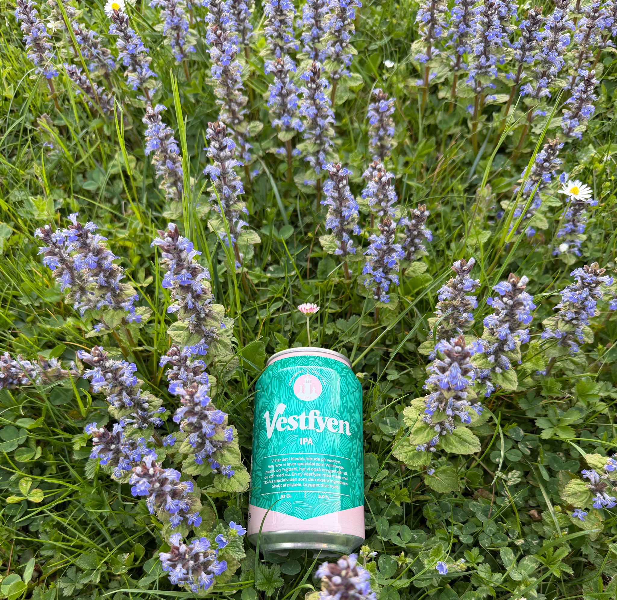 Vestfyen IPA, Bryggeriet Vestfyen