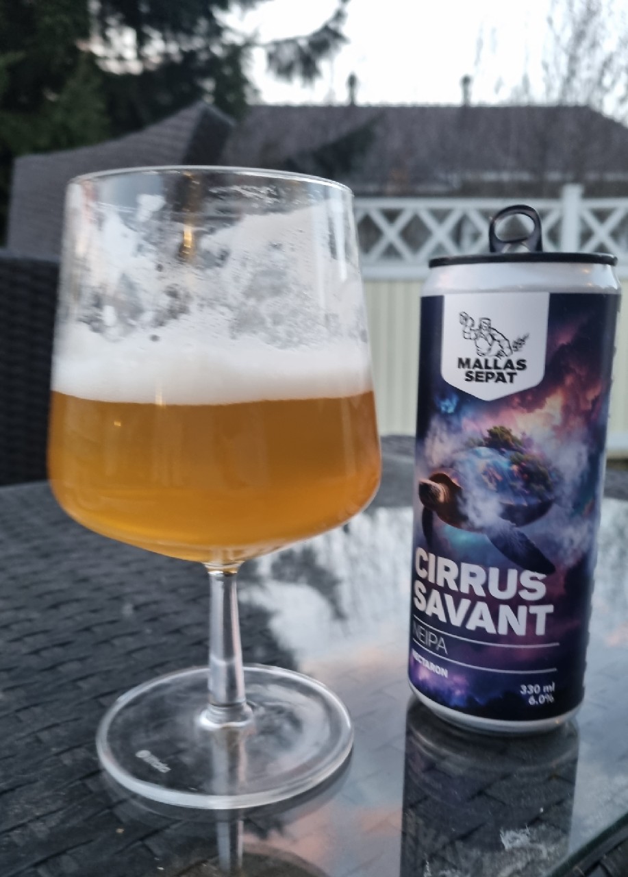 Cirrus Savant, Finland