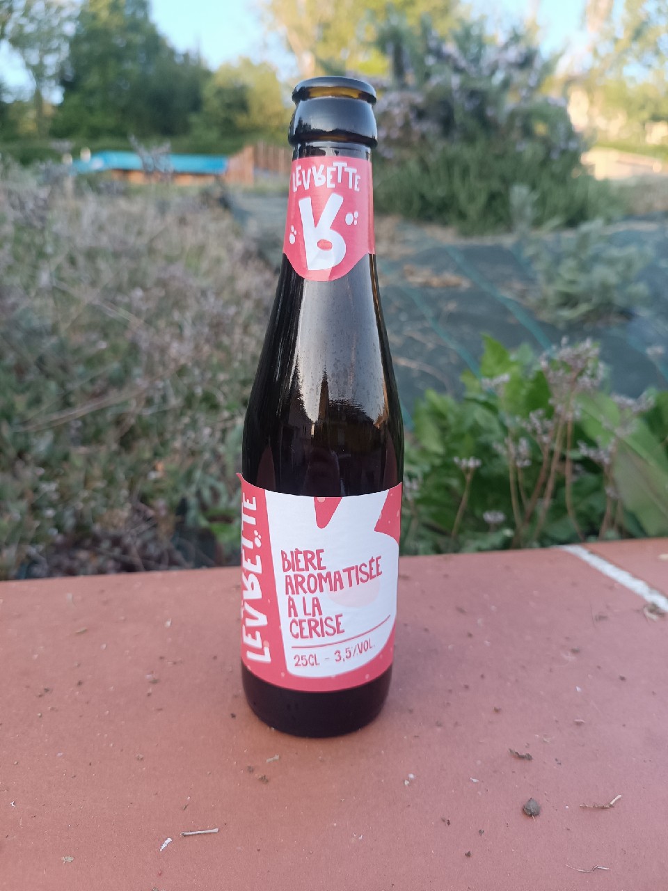 Cherry, Bières Levrette