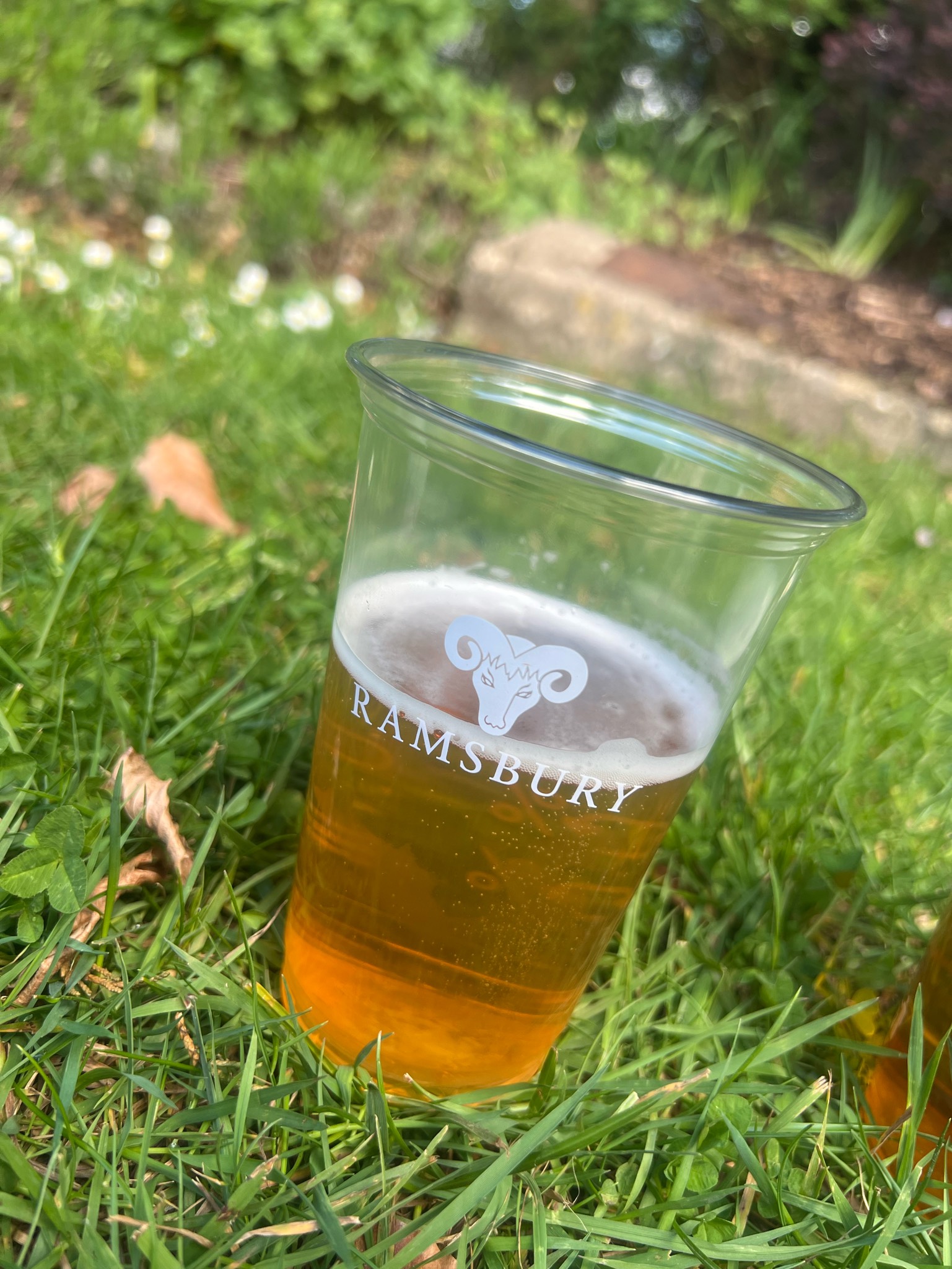 Red Ram, Ramsbury