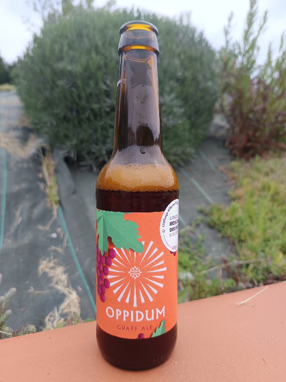 oppidum grape ale, Brasserie Oppidum