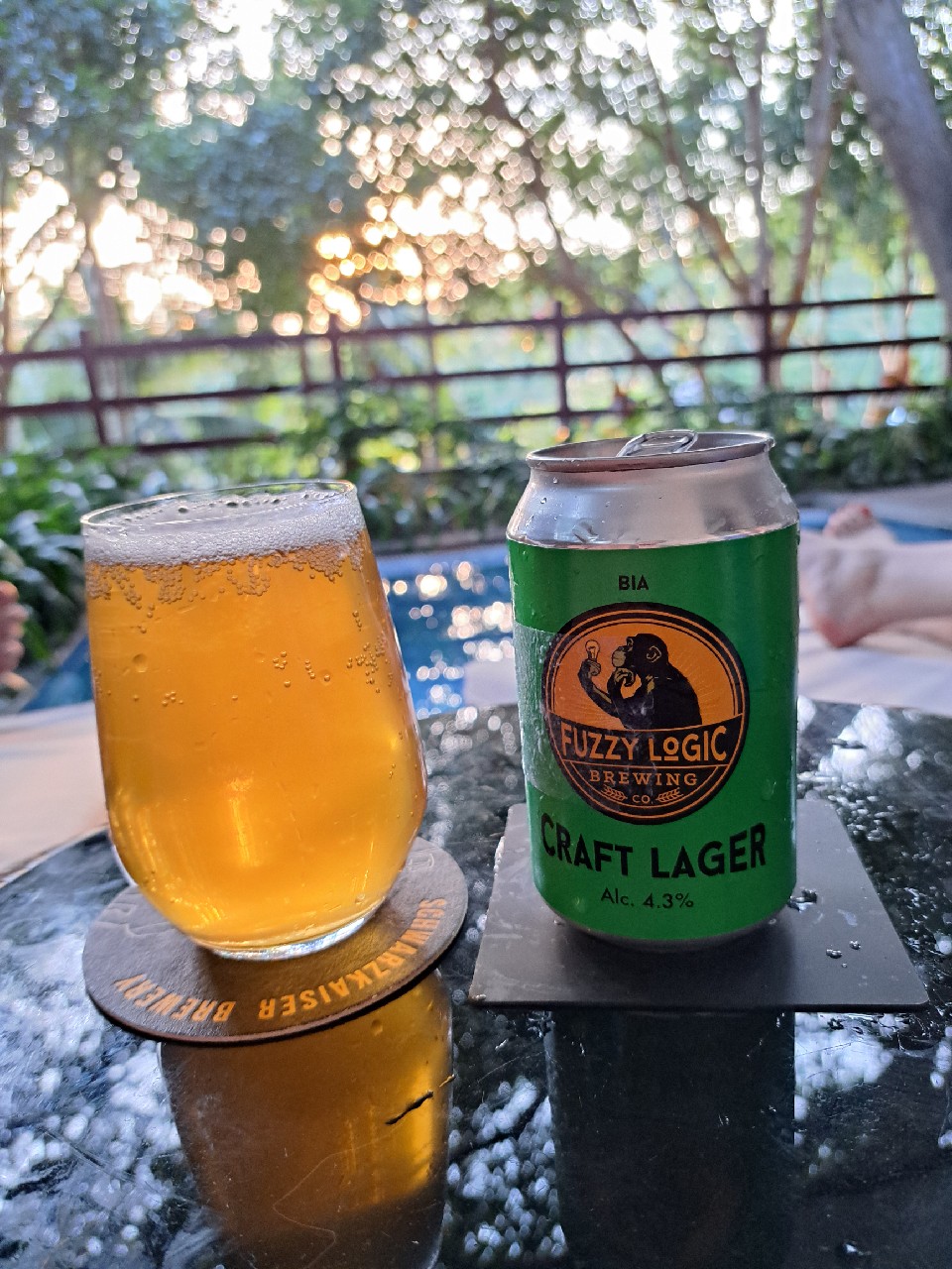 Craft Lager, Fuzzy Logic Brewing Co.