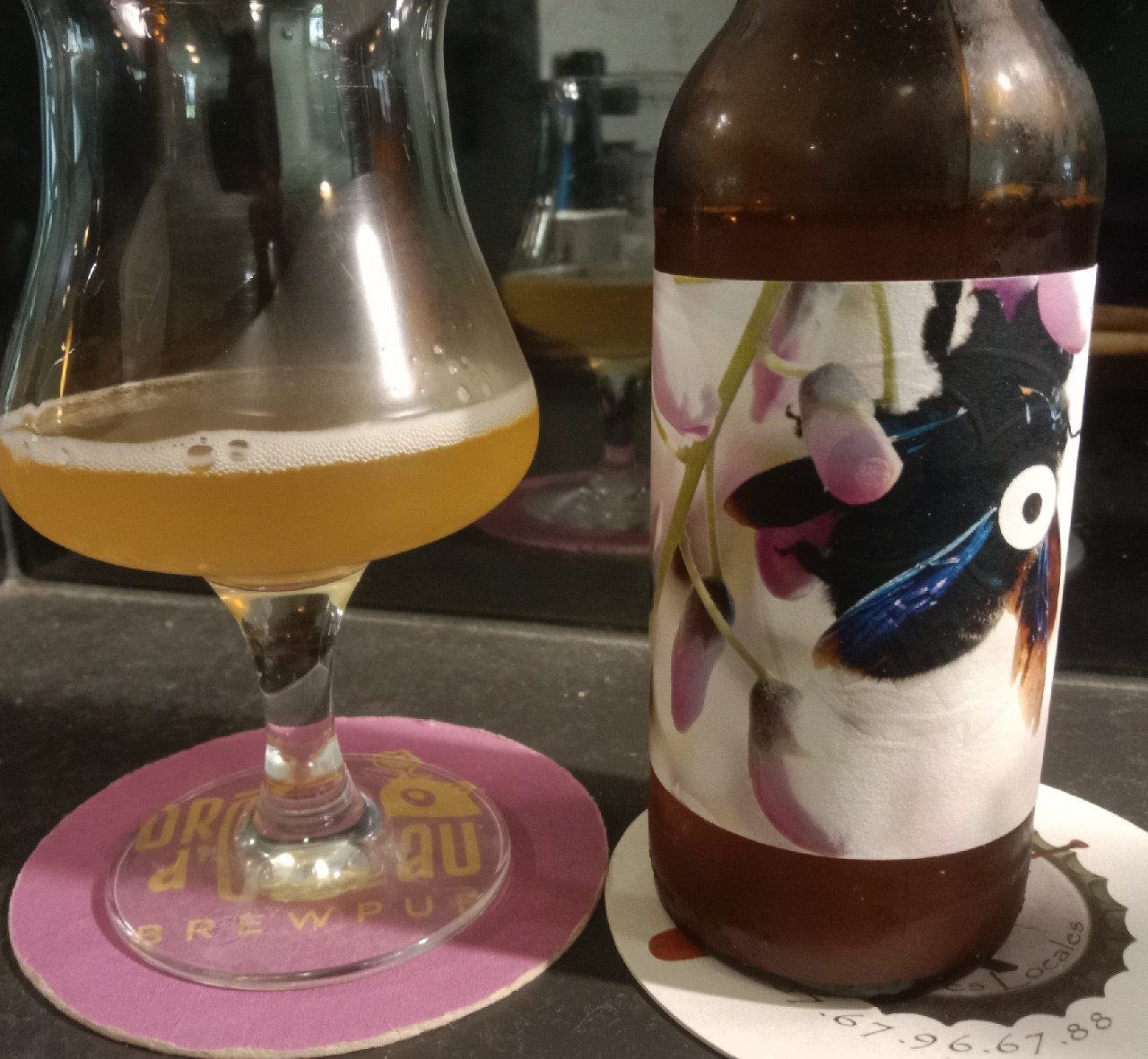 Bourgeon De Cassis, Brasserie La Chouette